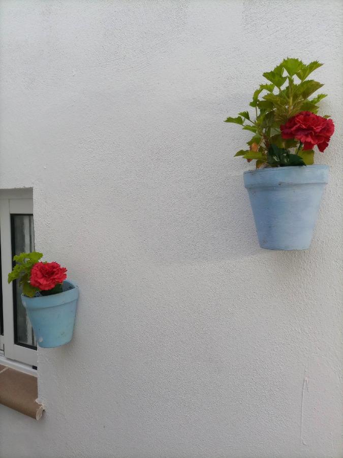 Ferienwohnung Casa Pepa Algar  Exterior foto